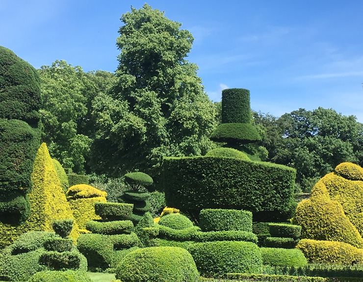 Weirdly pruned shrubs