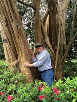 Felder Hugging America's Oldest Crape Myrtle
