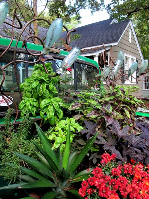 All Gardens Need Color and Textures