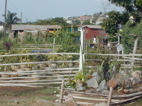 Community Garden with Containers