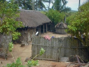 Enclosed Garden with Bottle Entry