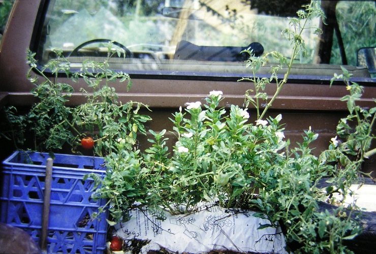 First Truck Garden - 1987