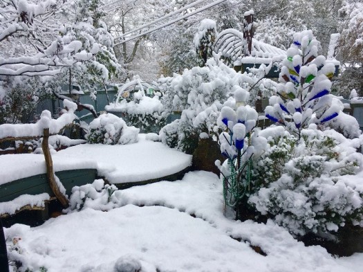 Front Garden in Snow