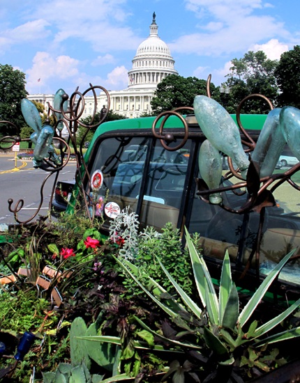 In Front of US Botanic Garden
