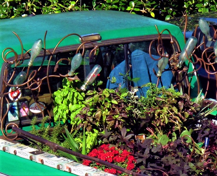 Truck Garden in Mid-Summer