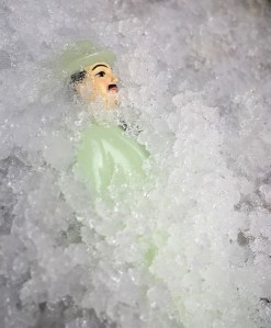 Quietly Hiding in Snow