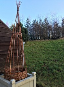 Where do these sticks come From