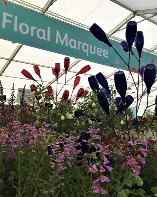 Bottle Trees Prominent at RHS Chatworth Flower Show