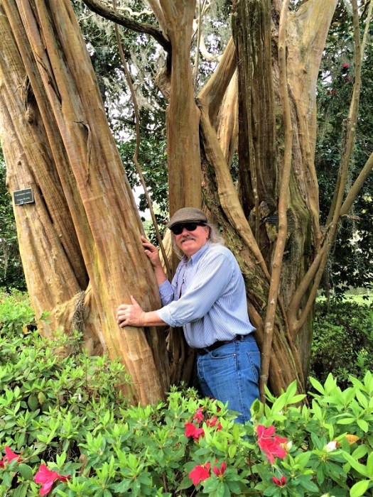 Felder hugging the oldest crape myrtle in America (Middleton Place, South Carolina)