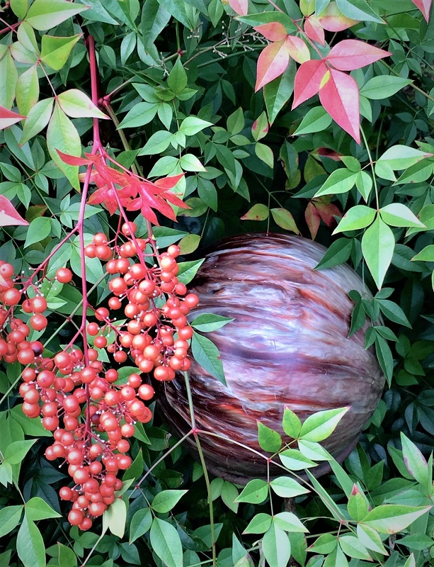 Bowling Ball and Nandina