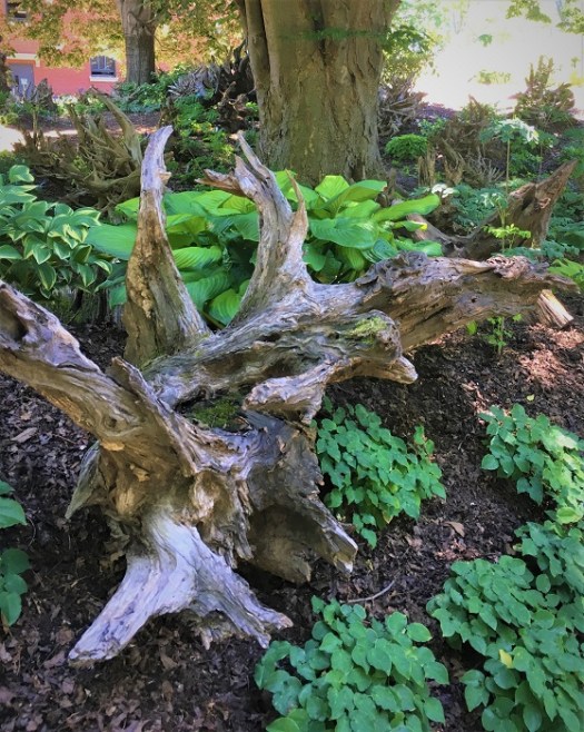 St. Louis Botanic Garden