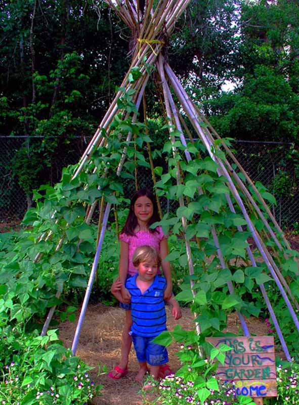 Vine Teepee