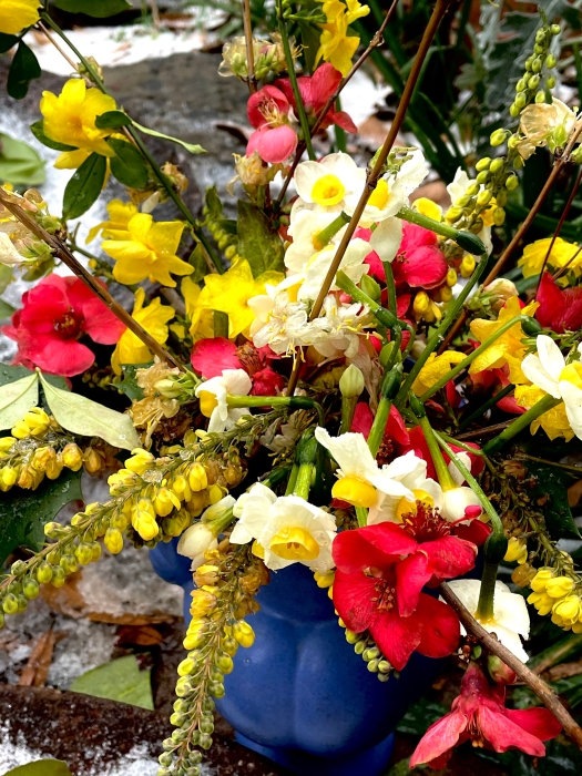 bouquet of winter flowers of the South