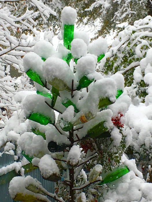 winter time glass bottle tree with snow
