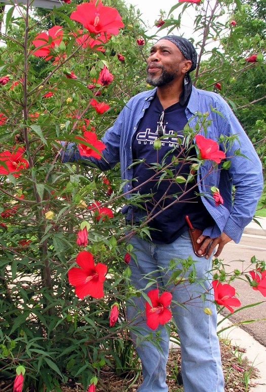 NEW BOOK is out! Maverick Gardeners – “Keepers of the Garden Flame ...
