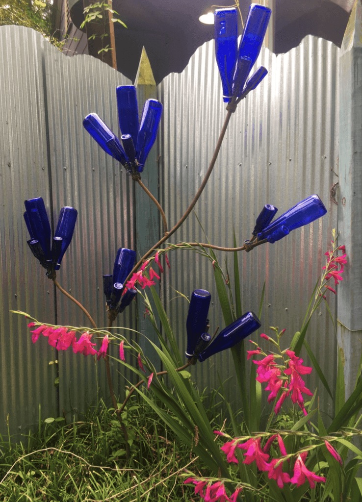 Airy bottle tree with hardy gladiolus