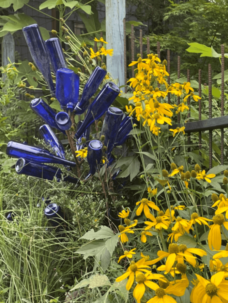 Bottle tree with cutleaf coneflower