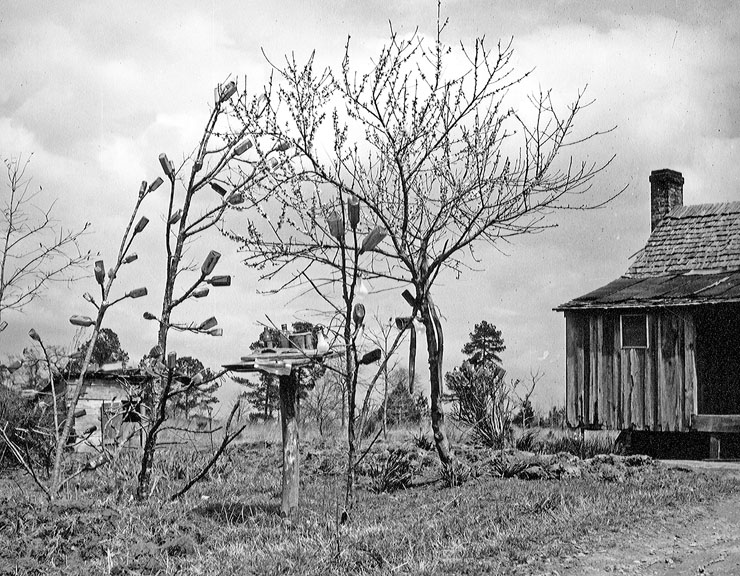 Bottle Tree History Felder Rushing's Blog