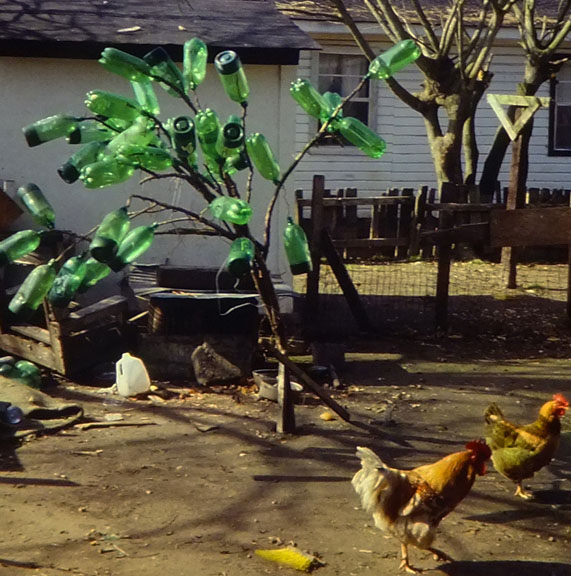 Bottle Tree History Felder Rushing's Blog