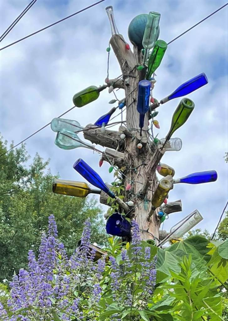 Fondren bottle tree (24)
