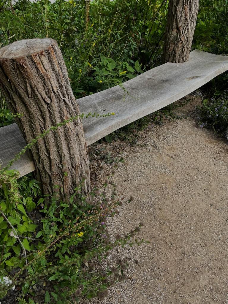 Innovative woodland bench made from tree trunks