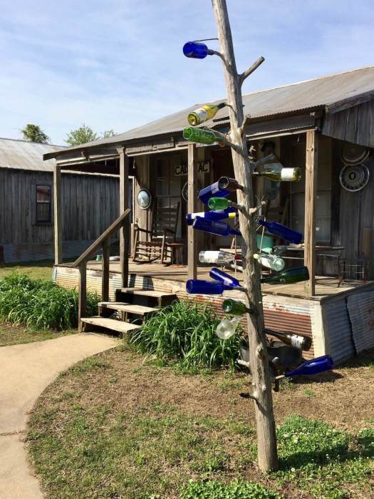 Mississippi Delta bottle tree outside shack