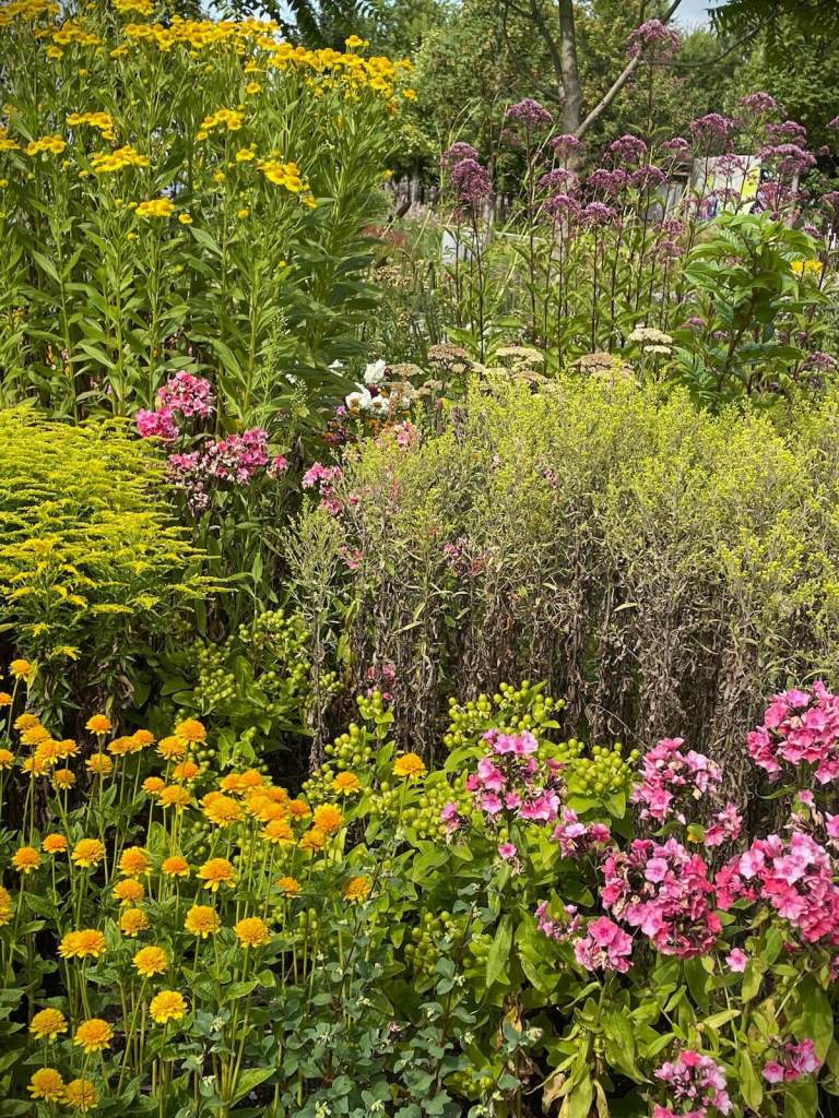 Mississippi native perennials featured at Floriade