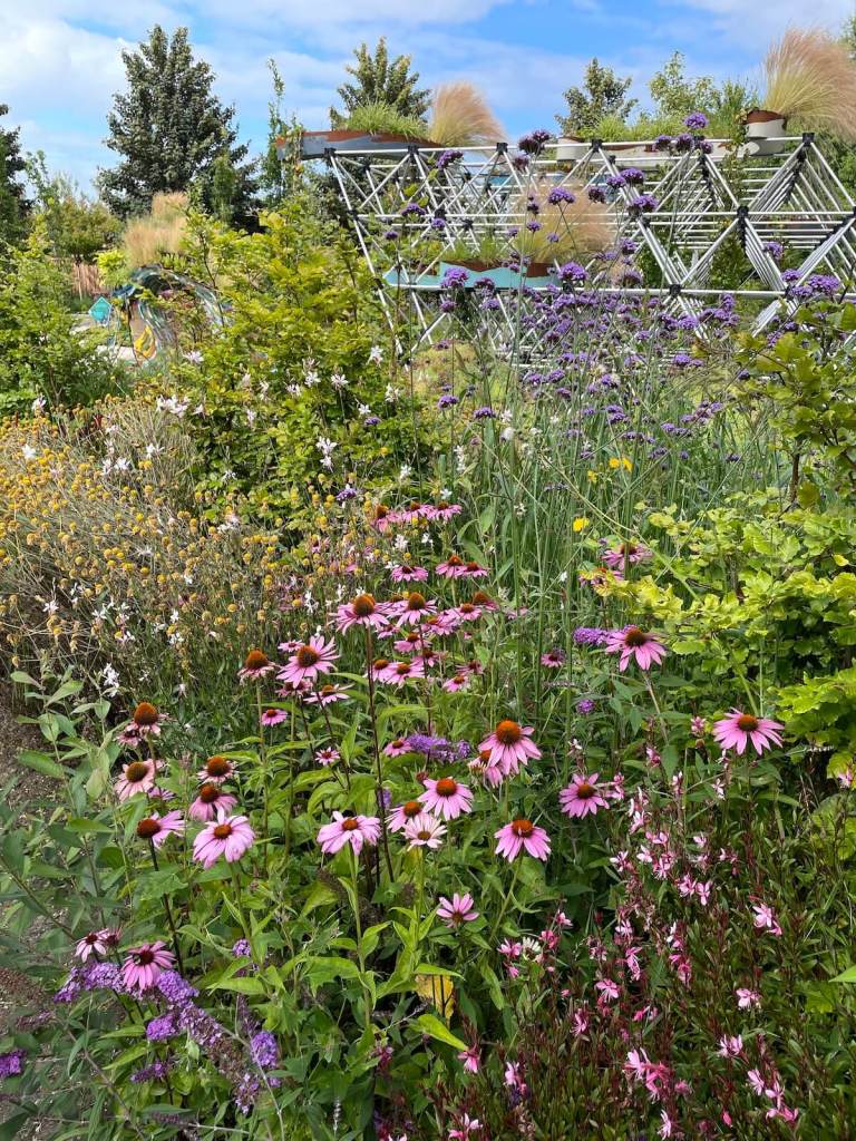 Mississippi native perennials featured at Floriade 2022