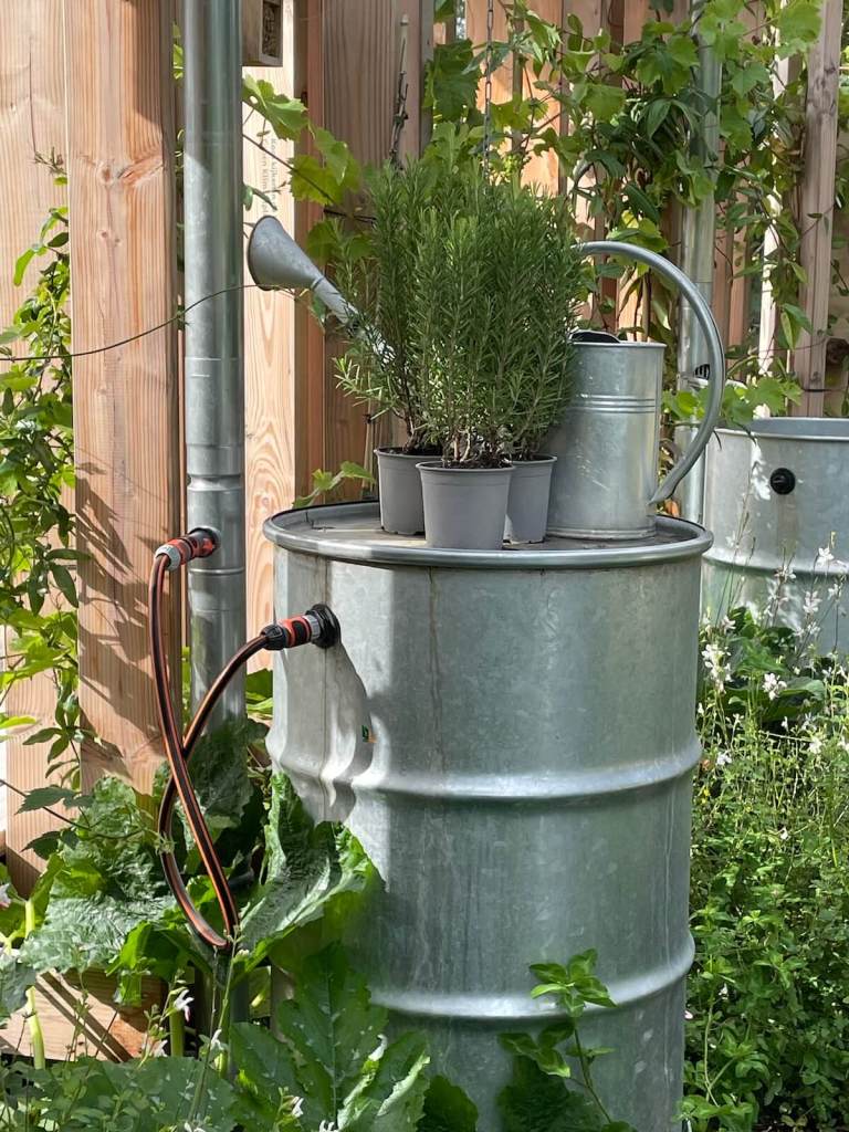 Rain barrel set-up