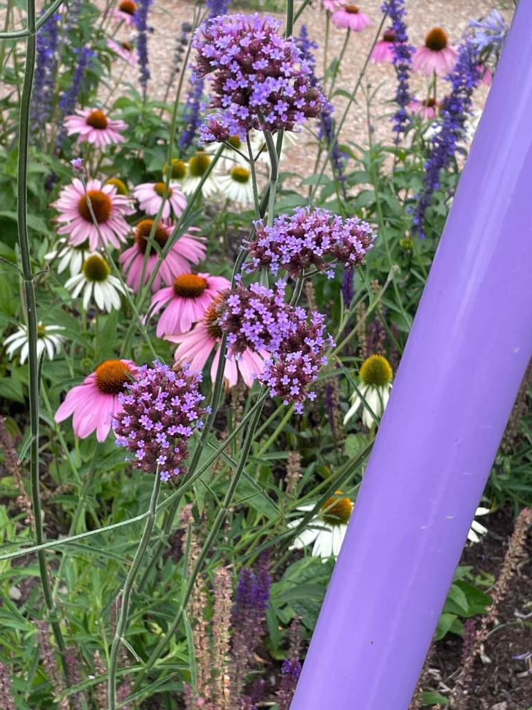 Rainbow garden detail - purple and pink