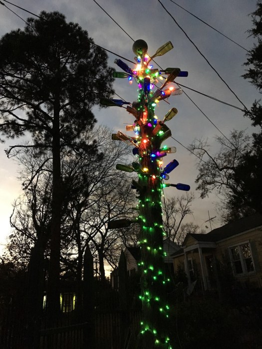 Tallest bottle tree at dusk