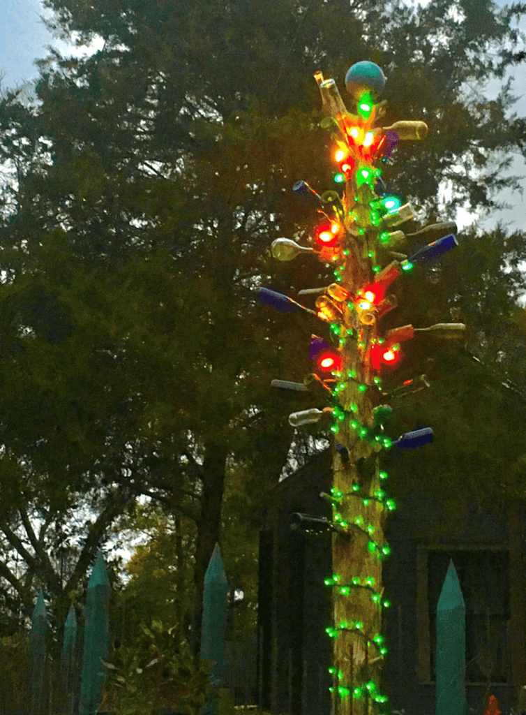 Tallest bottle tree at night