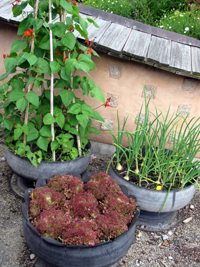 Tyre planters at the Eden Project, South England
