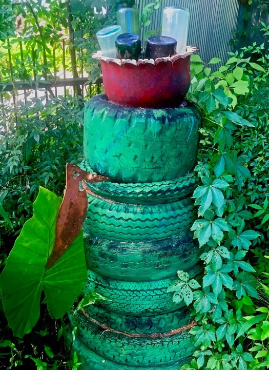 Felder's rubber bush