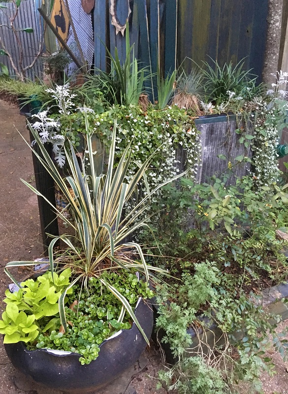 Felder's yard - plant stand and tire planter