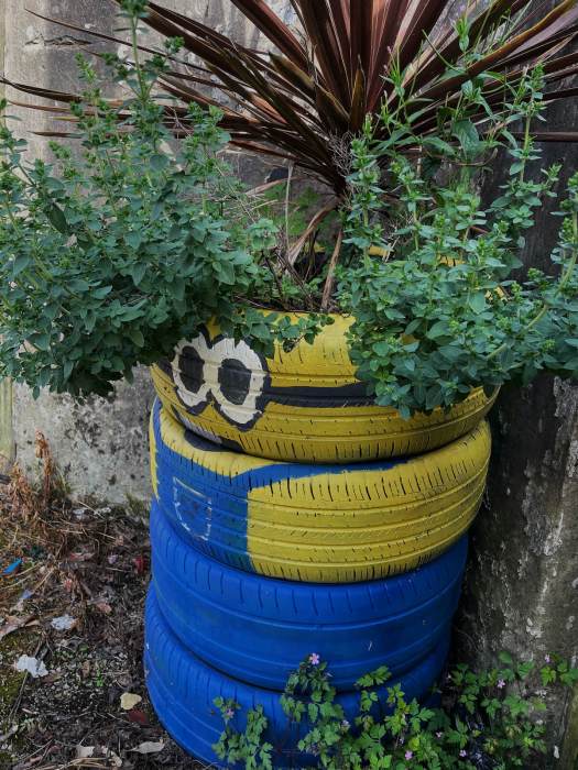 Minion tyre planter