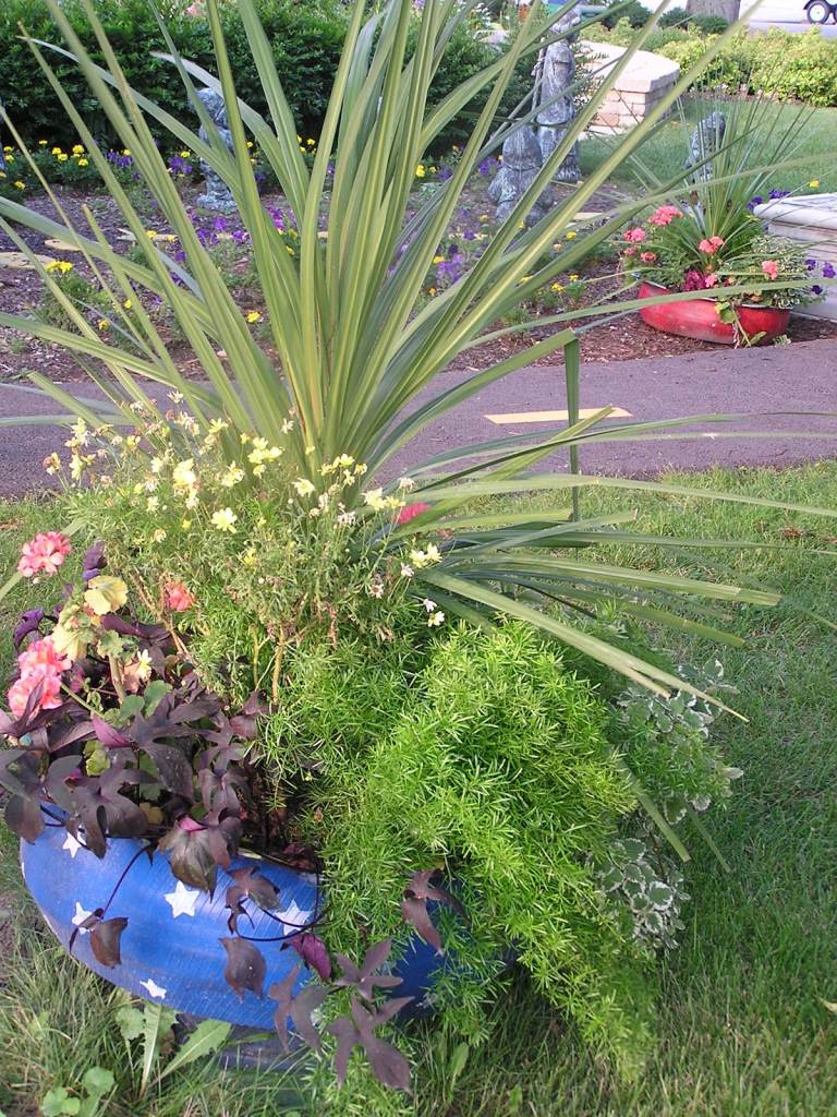 Overflowing tire planter at Lima Ohio kids' garden