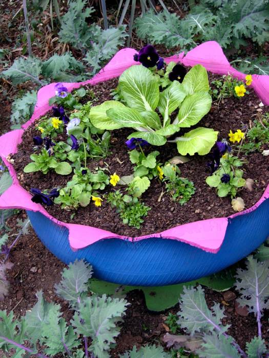 Tire planter painted pink inside, blue outside