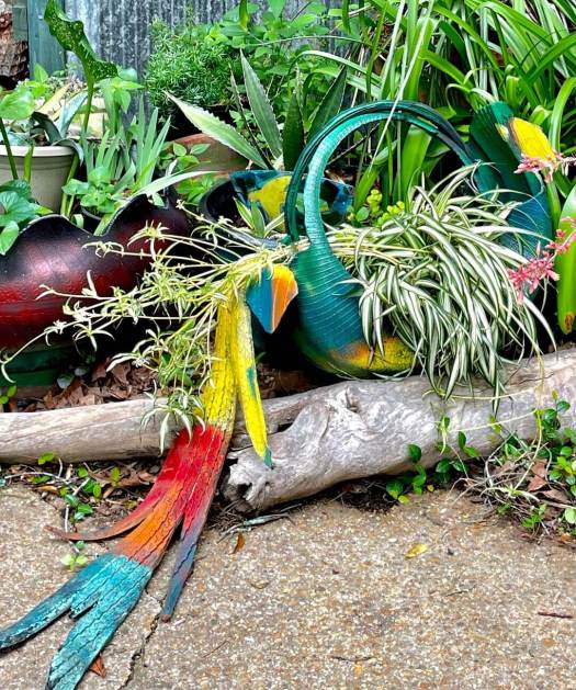 Tire parrot hanging basket