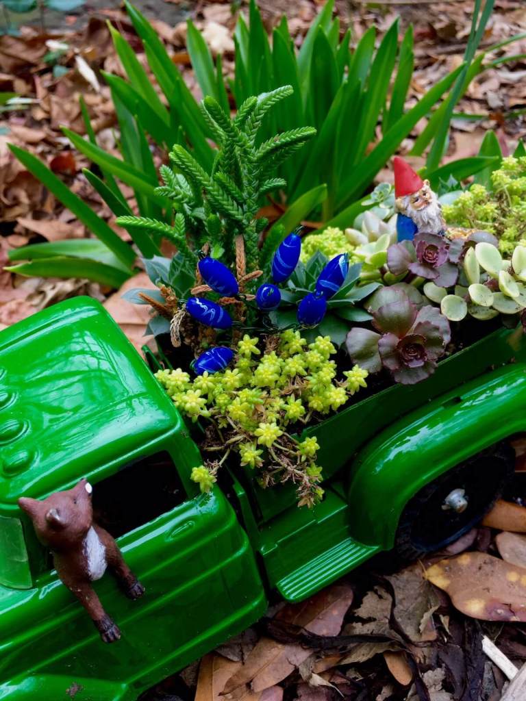 Felder's little truck succulents