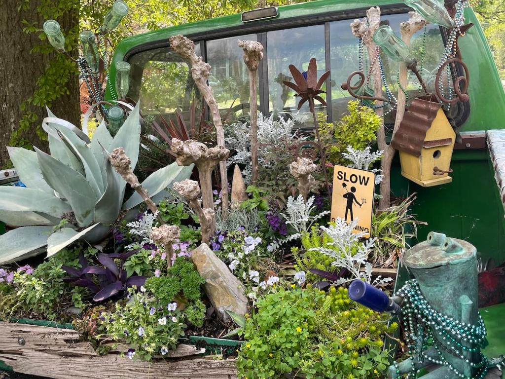 Felder's truck garden with succulents