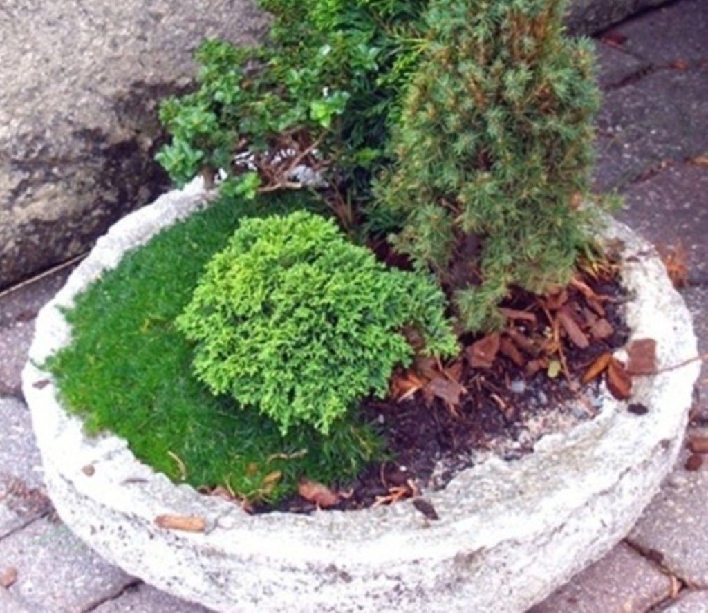 Lightweight faux stone hypertufa pot