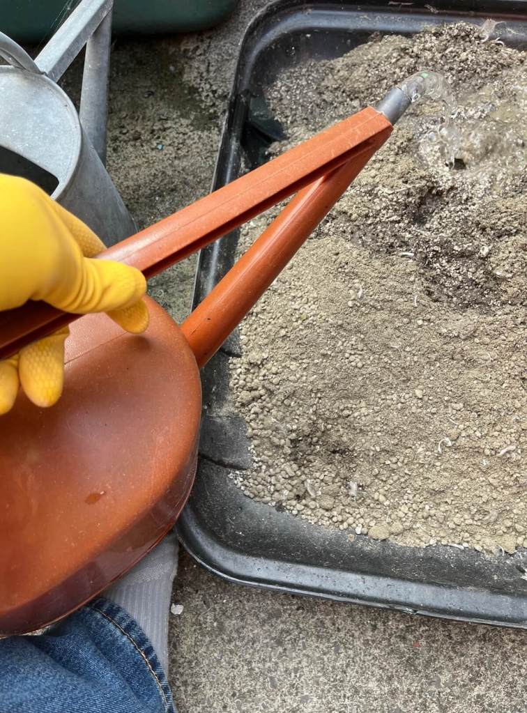 6 adding water a little at a time